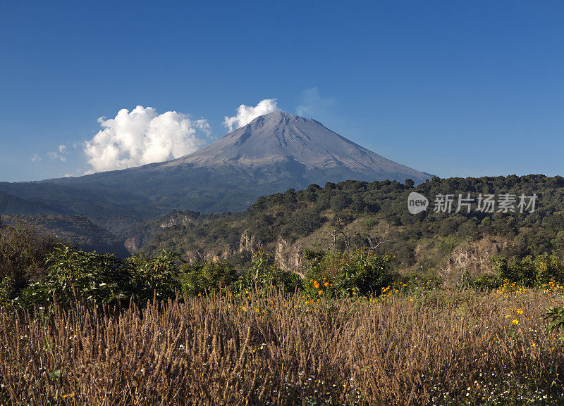 Chia field和Volcano Popcatepetl，墨西哥